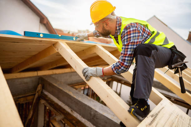 Best Roof Maintenance Services  in Goodview, MN